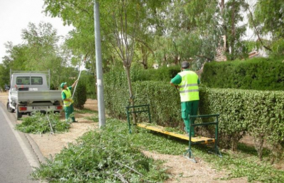La poda de Eurovillas se dividir&aacute; en tres fases.