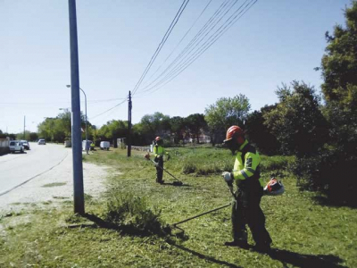 Desbroce de zonas verdes y viales