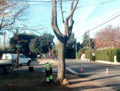 Actuaciones de mantenimiento de la Urbanizaci&oacute;n -Jardiner&iacute;a